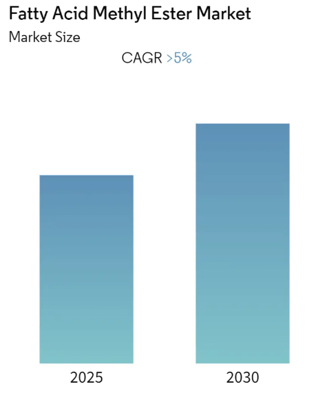 Fatty Acid Methyl Ester Market Size Fatty Acid Ester Market Summary